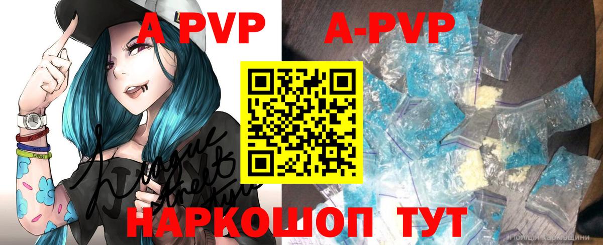 A PVP СК КРИС Гудермес