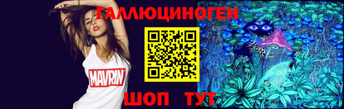 Галлюциногенные грибы мицелий  Вход с VPN  Гудермес  Галлюциногенные грибы Psilocybe 
