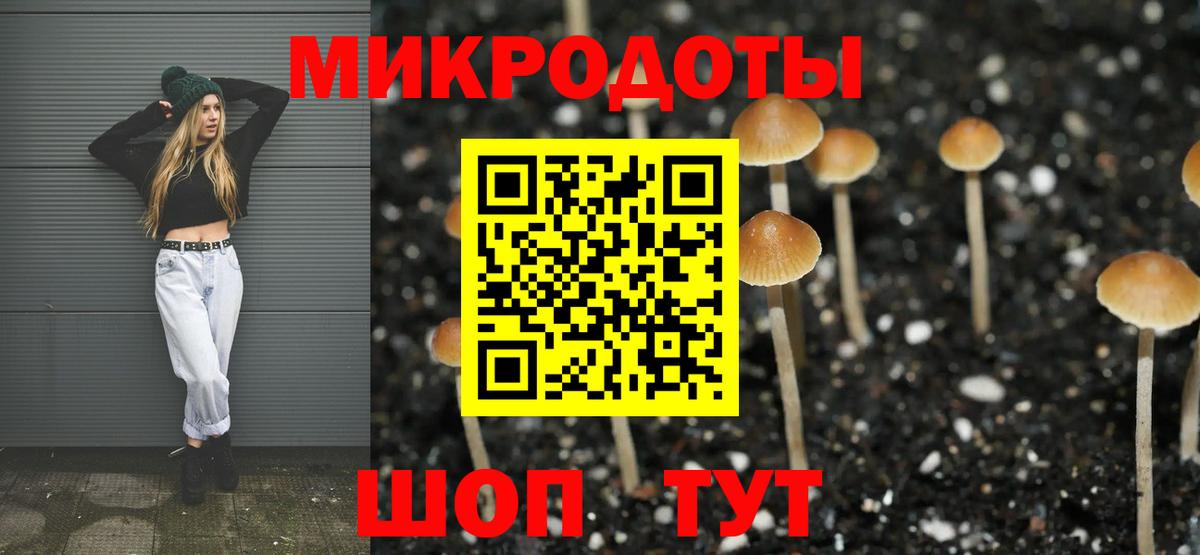 Галлюциногенные грибы мухоморы Гудермес